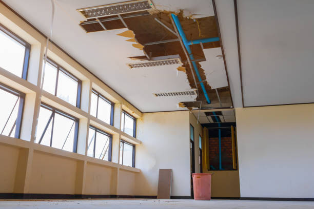 Best Mold removal after water damage  in Florence Graham, CA