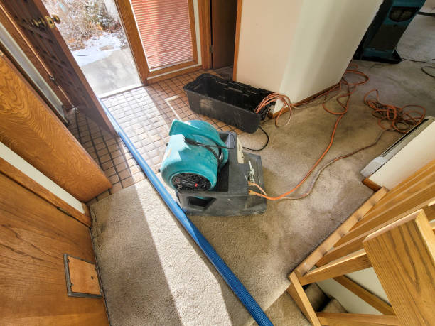 Best Fire Damage Restoration  in Florence Graham, CA