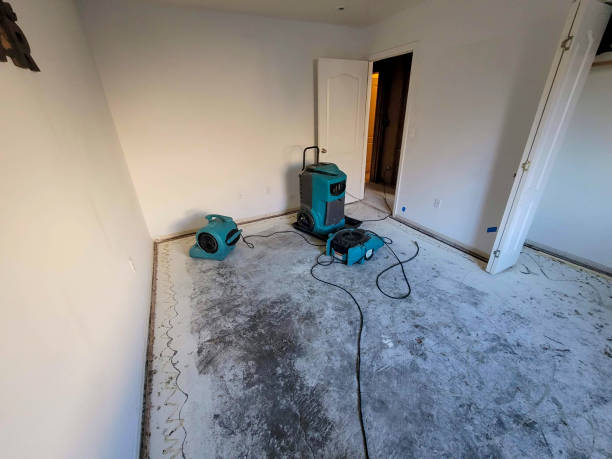 Best Water damage restoration near me  in Florence Graham, CA