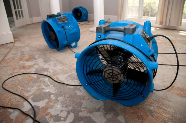  Florence Graham, CA Water damage restoration Pros