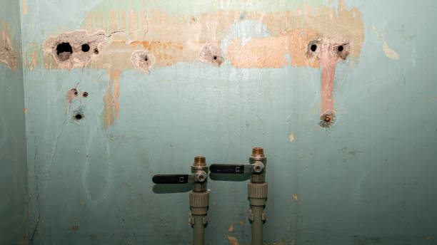 Best Ceiling water damage repair  in Florence Graham, CA