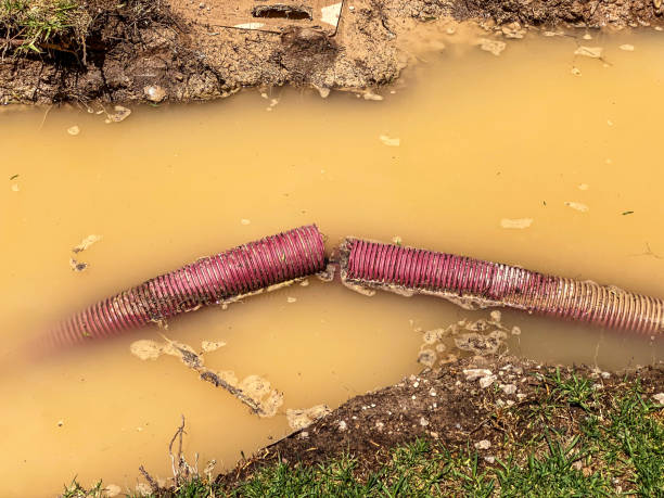 Best Basement water damage restoration  in Florence Graham, CA